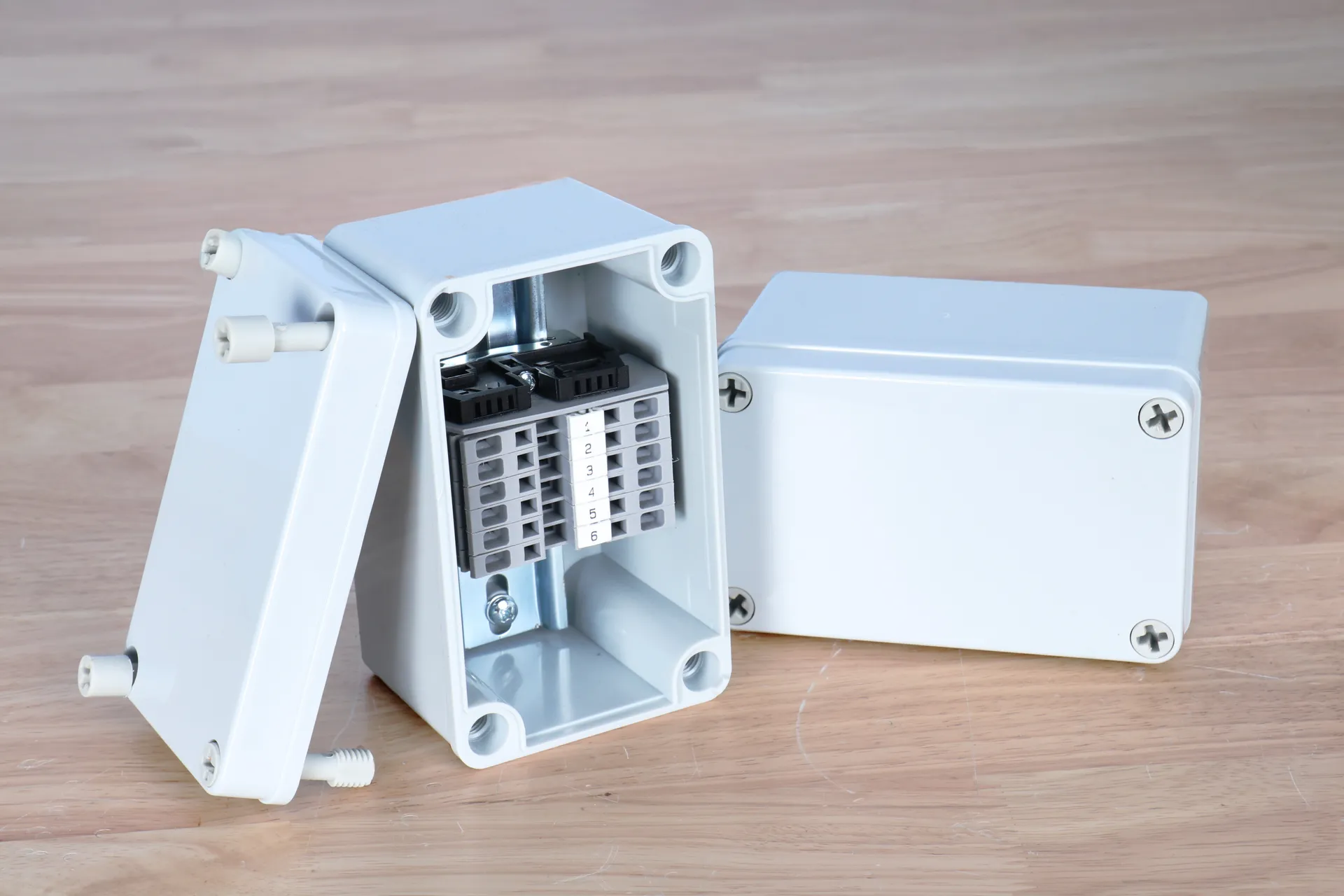 Dual motor control system